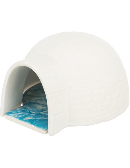 Iglú con placa de refrigeración