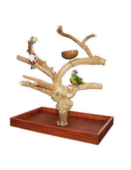 Java Mini Tree Small