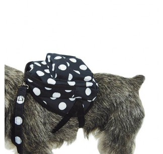 Mochila para perros pequeños 2