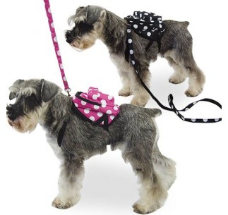 Mochila para perros pequeños