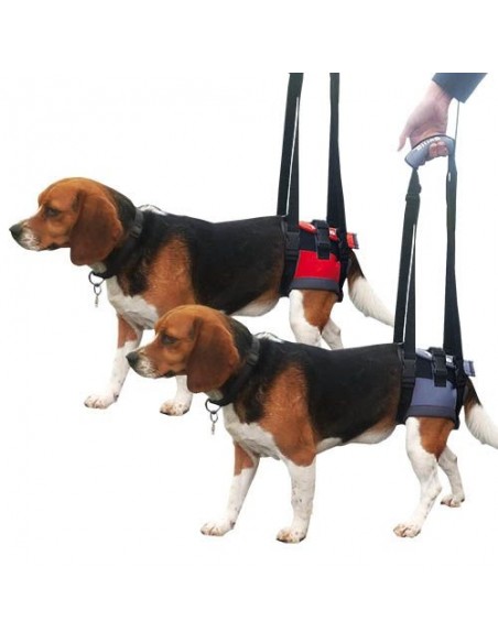 Transportador Manual Trasero