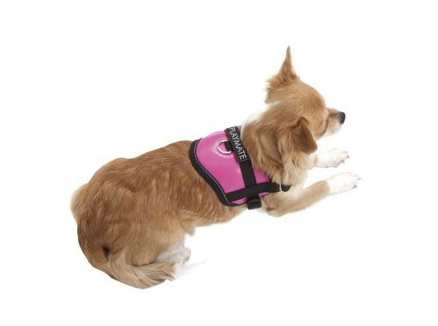 Arnés para perros Teeny -Weeny Rosa