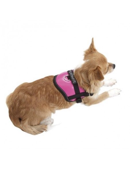 Arnés para perros Teeny -Weeny Rosa