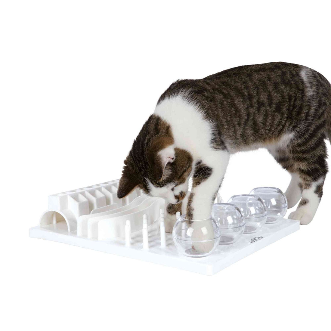 Juguetes del gato