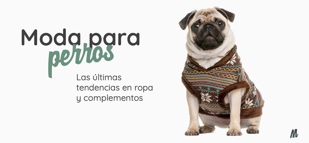 Moda para perros. Las últimas tendencias en ropa y complementos