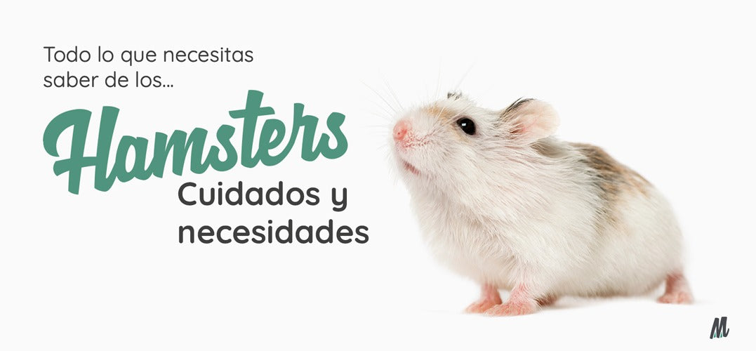 Hámsters, curiosidades y cuidados. Guía completa