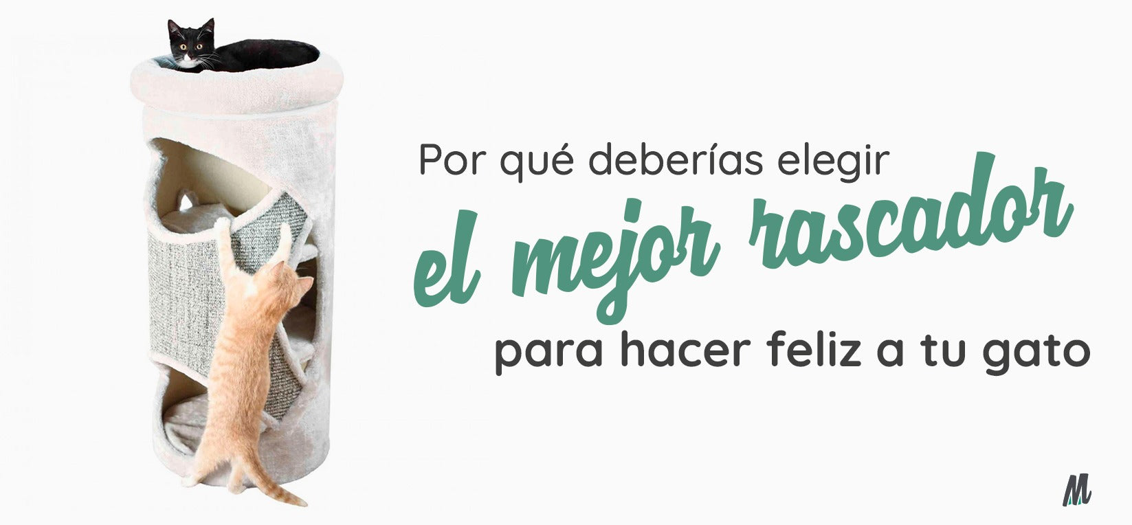 Por qué deberías elegir el mejor rascador para hacer feliz a tu gato