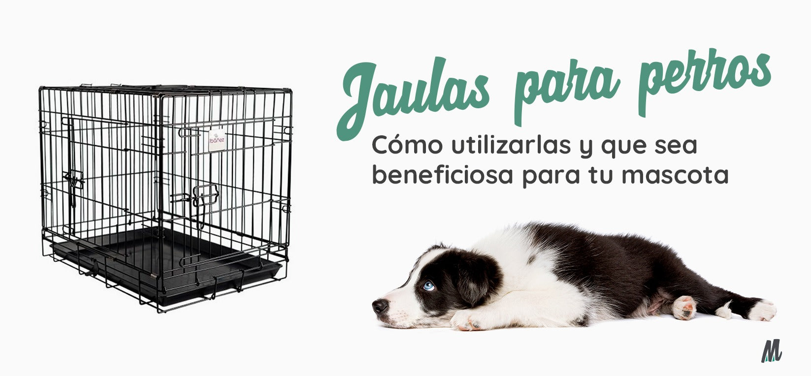 Cómo utilizar una jaula para perros y que sea beneficiosa para tu mascota