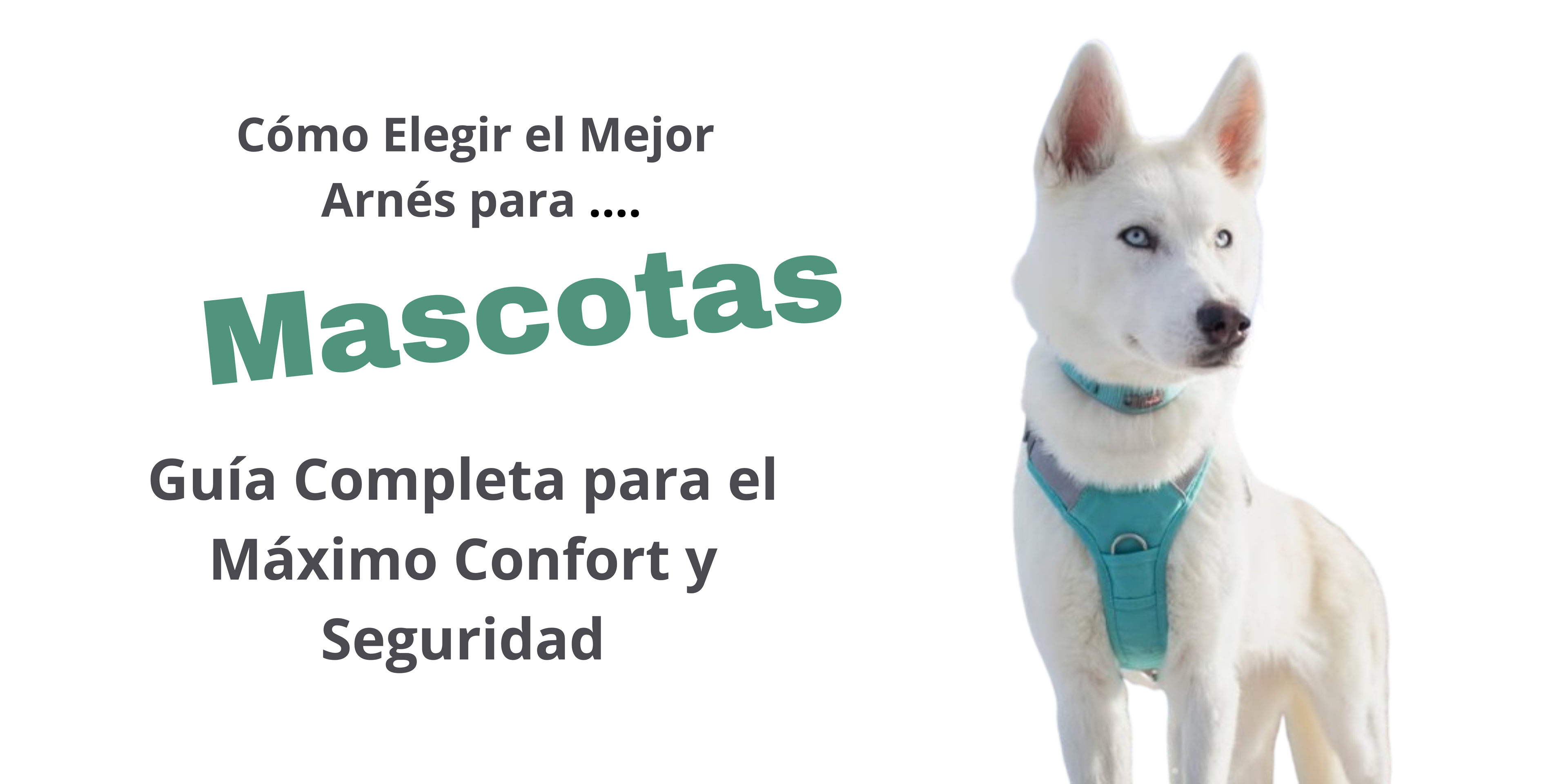 Cómo Elegir el Mejor Arnés para tu Mascota: Guía Completa con Opciones de Trixie, Yagu e Ibáñez