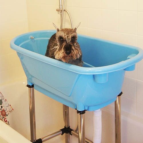 Bañera para perros portátil Tailor's bath