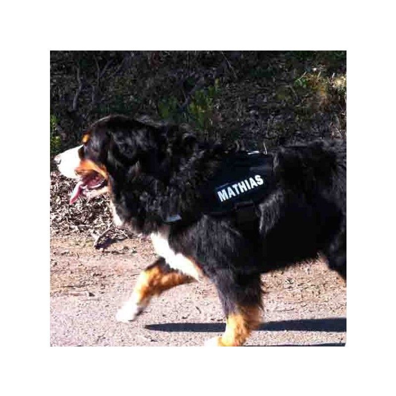 Etiquetas Personalizadas para Collar o Arnés Julius K9