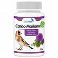 Cardo Mariano en Polvo | Mejora Hepática y Digestiva para Canarios y Jilgueros