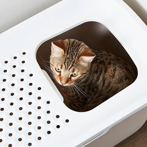 Bandeja arenero de gato "Wc Hop In"