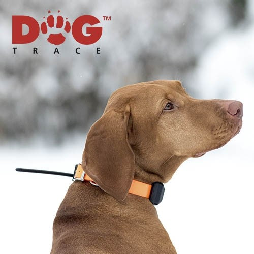 Localizador GPS Dogtrace X30