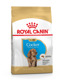 Royal Canin Cocker Puppy / Junior