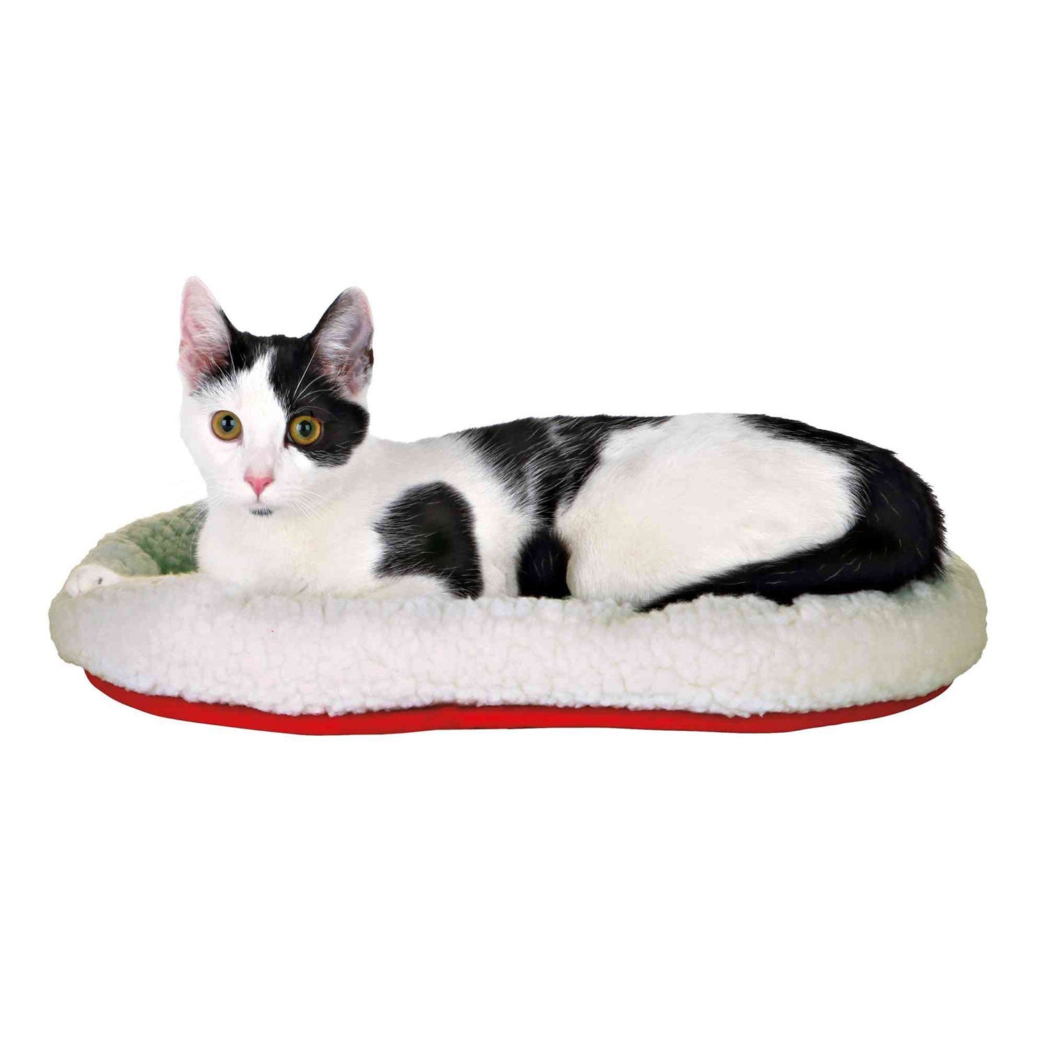 Cama Acolchada reversible