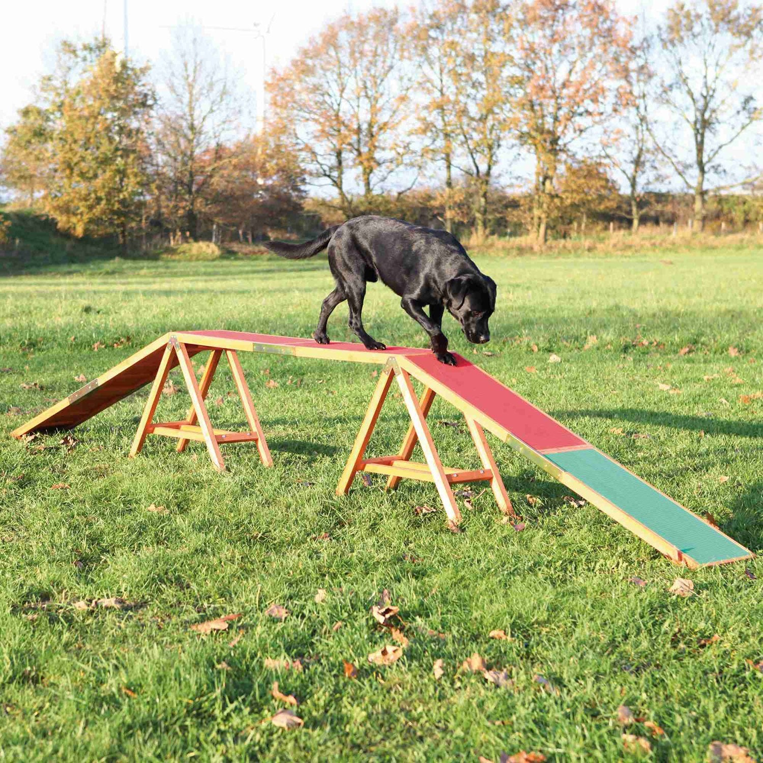Pasarela Agility para Perros de Madera con Revestimiento Antideslizante