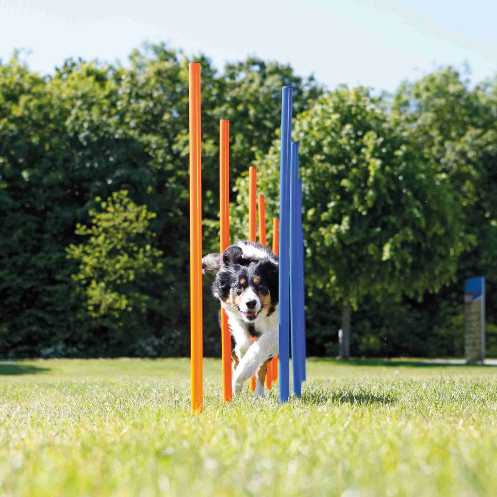 Escalón para Agility para perros Trixie