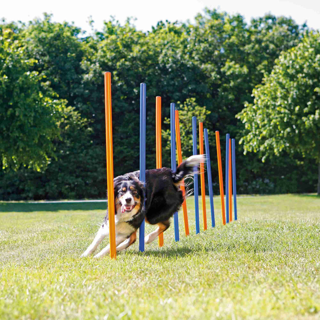 Escalón para Agility para perros Trixie