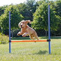 Valla para Agility
