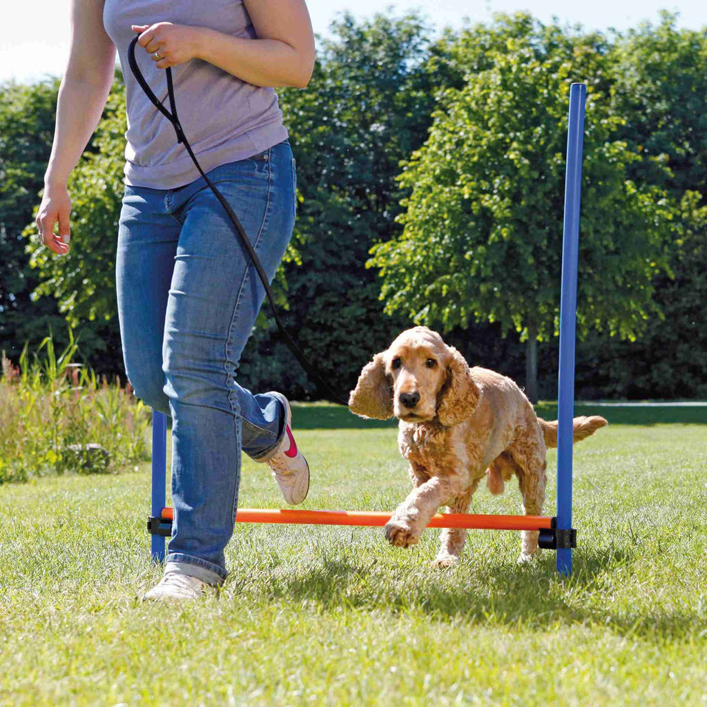 Valla para Agility