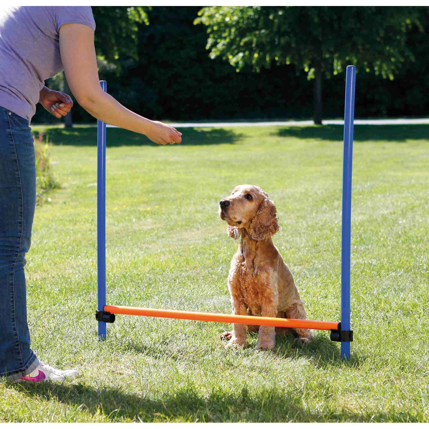 Valla para Agility