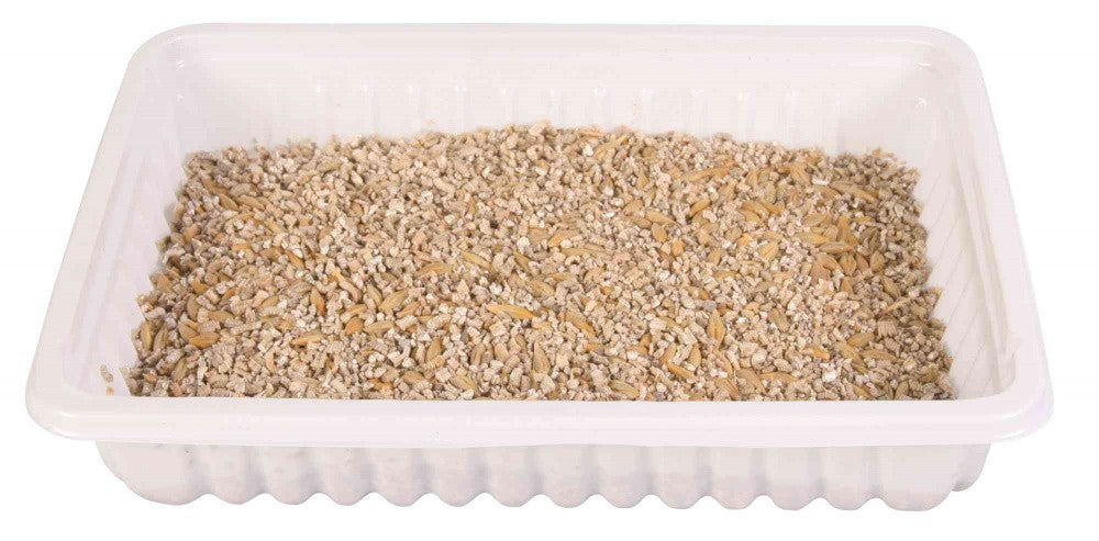 Hierba Blanda