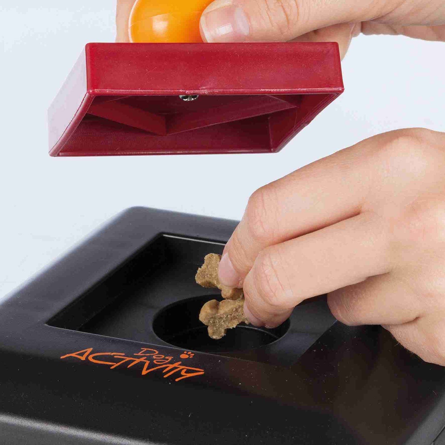 Juego Interactivo Gamble Box