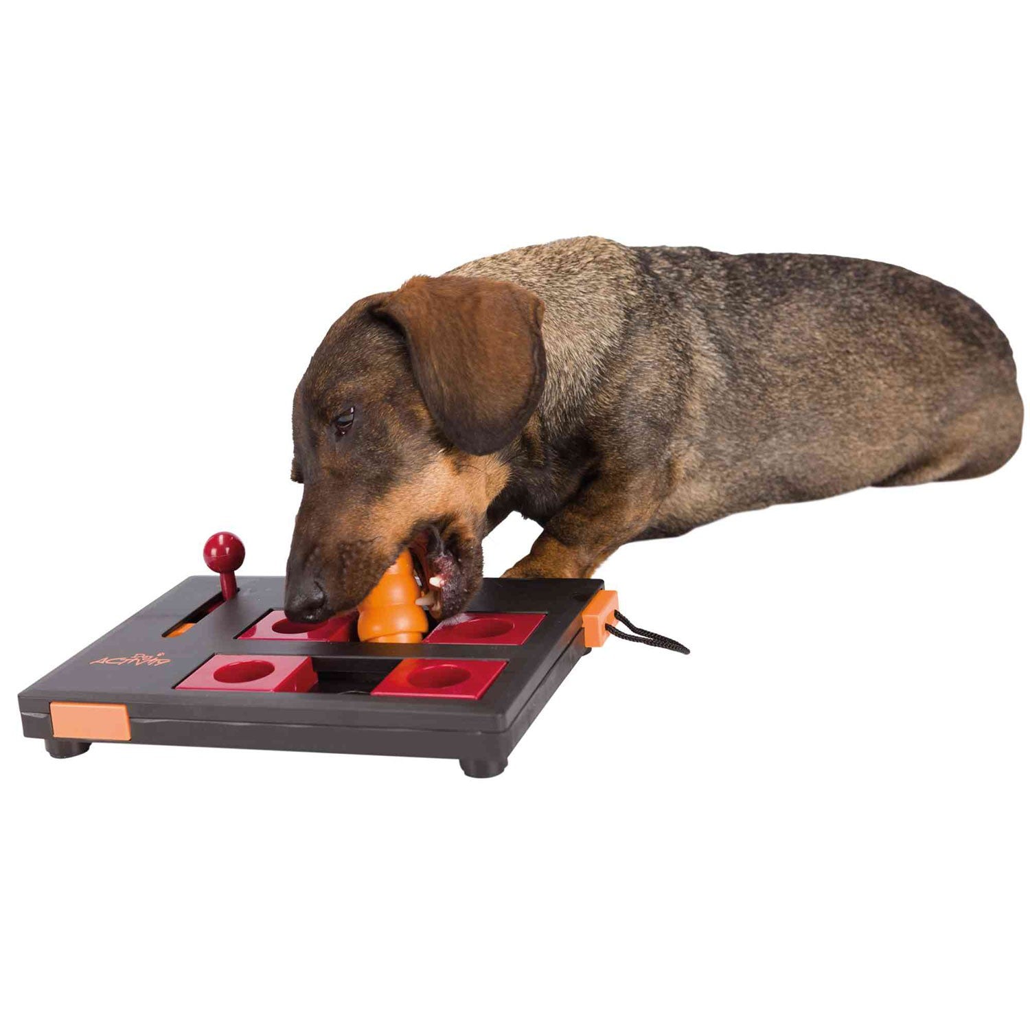 Juego Interactivo Mini Mover