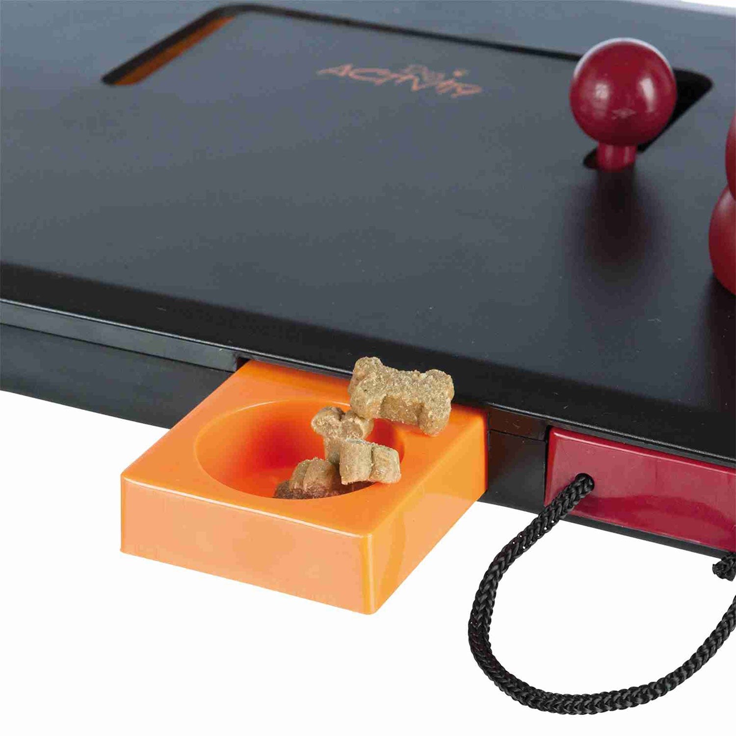 Juego Interactivo Move2Win