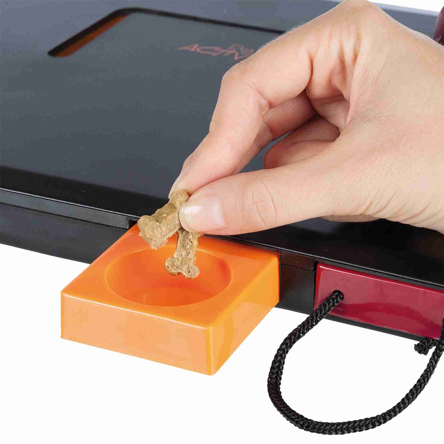 Juego Interactivo Move2Win