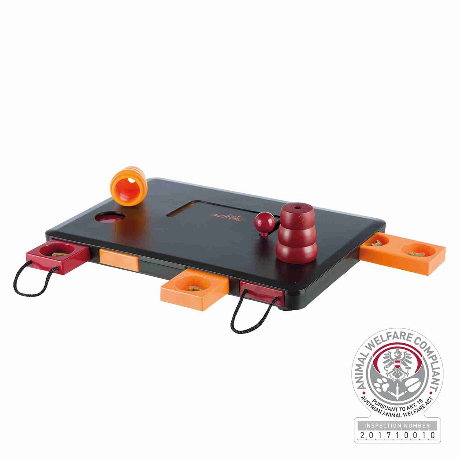 Juego Interactivo Move2Win