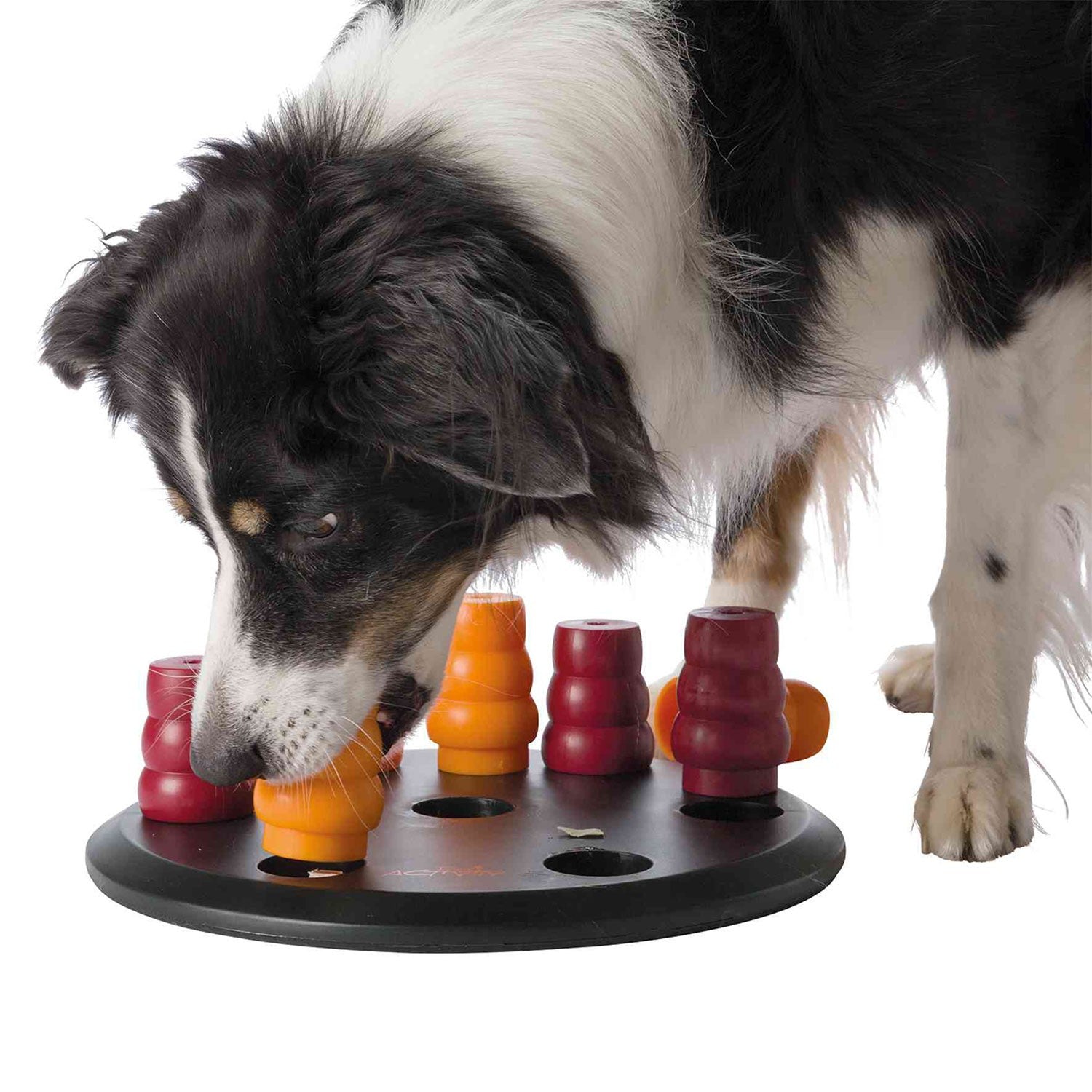 Juego Interactivo Solitario