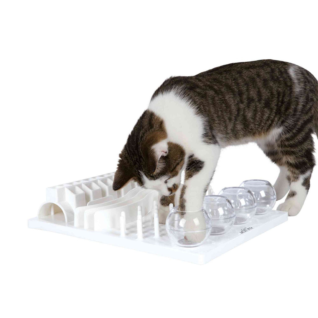 Juego Interactivo Fun Board