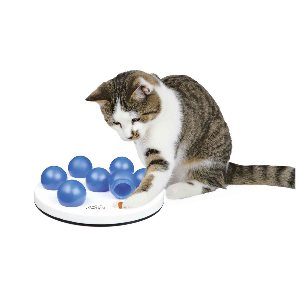 Juego Interactivo Solitario para perros y gatos