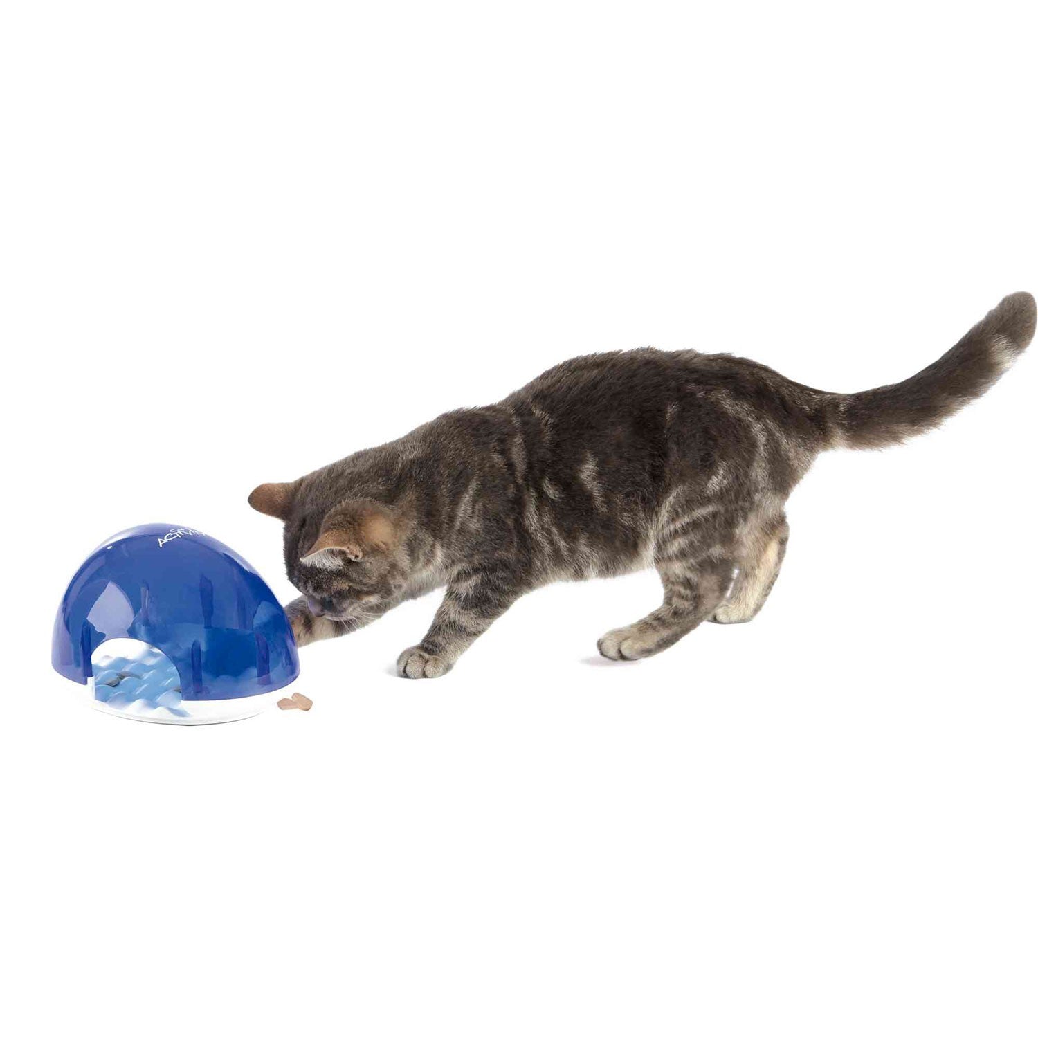 Juego Interactivo Snack Box