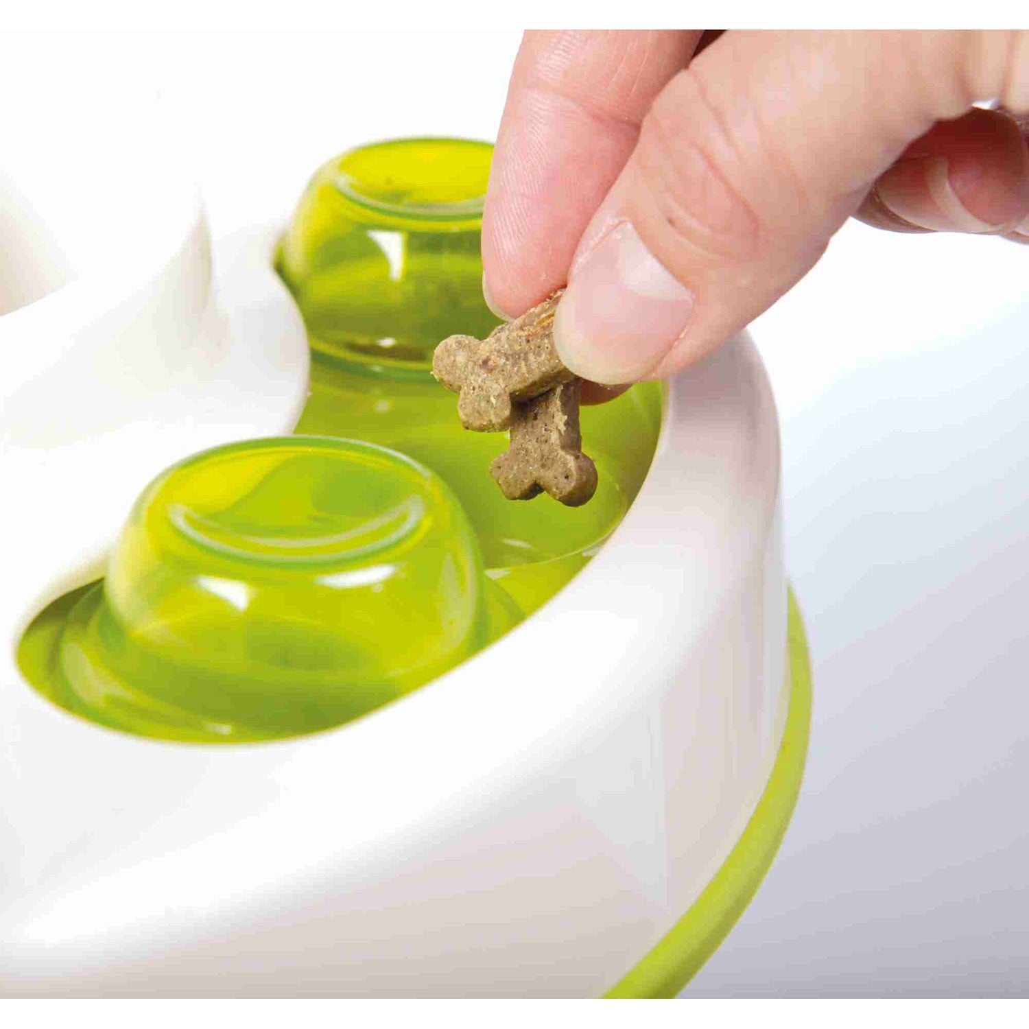 Juego Interactivo Slide & Feed