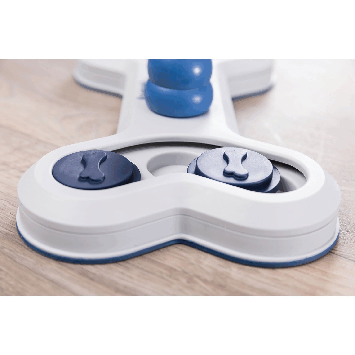 Juego Interactivo Flip Bone