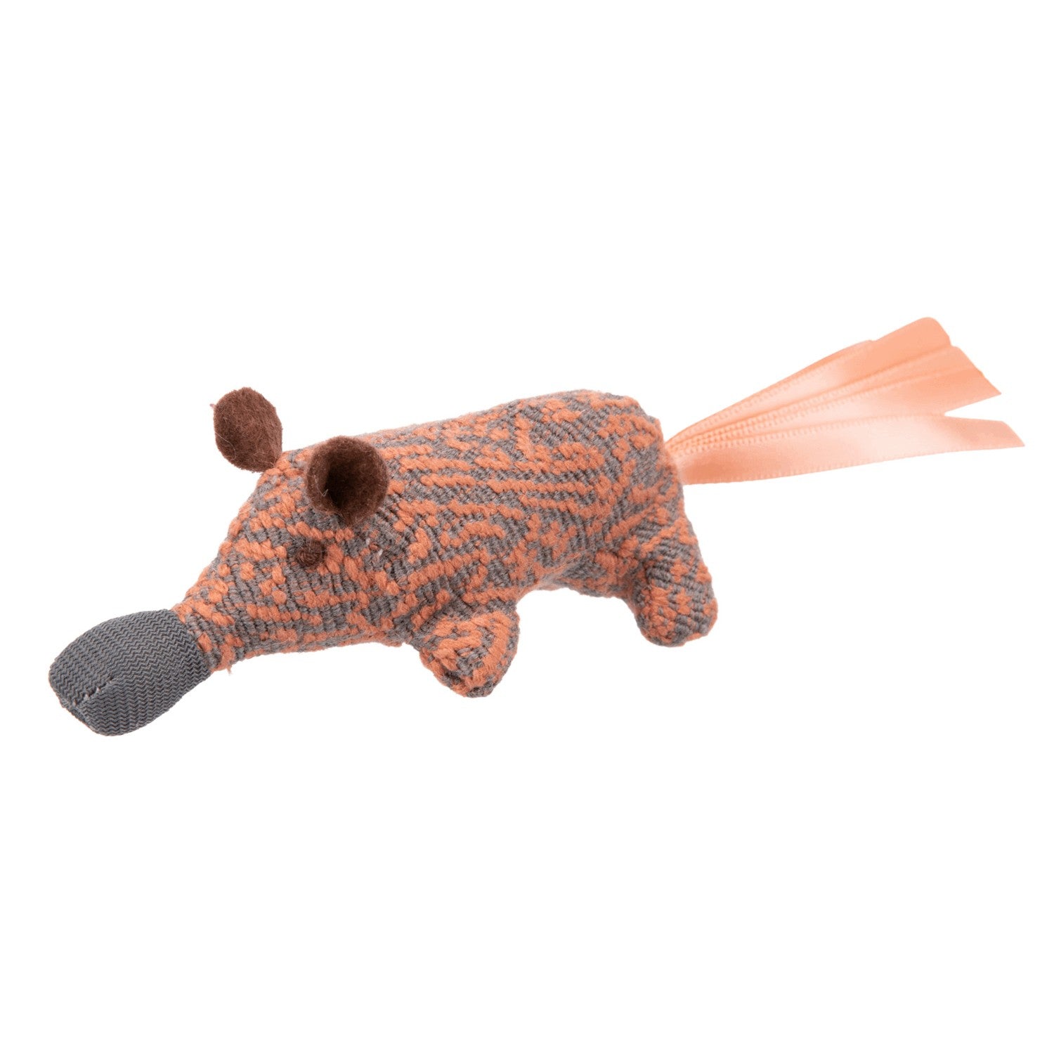 Coatí