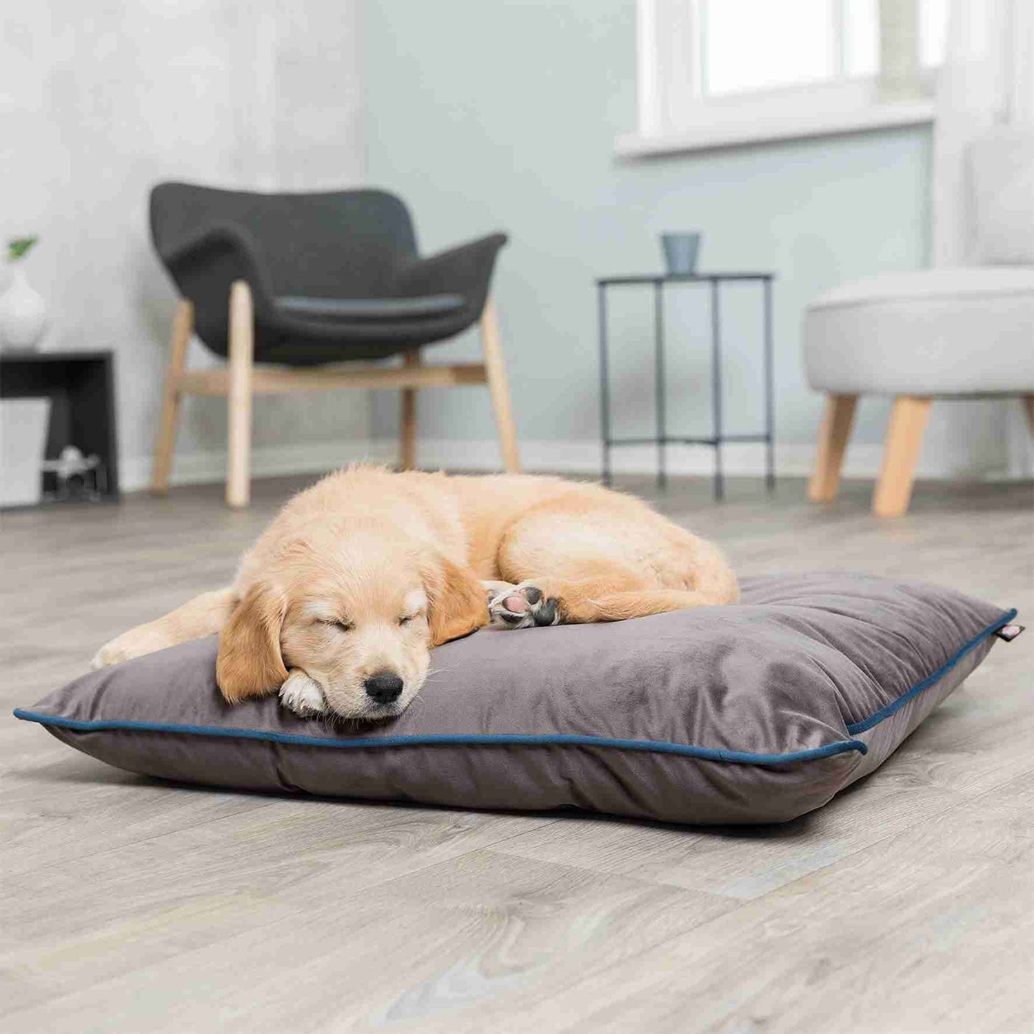 Cojín para Perros Love your Pet