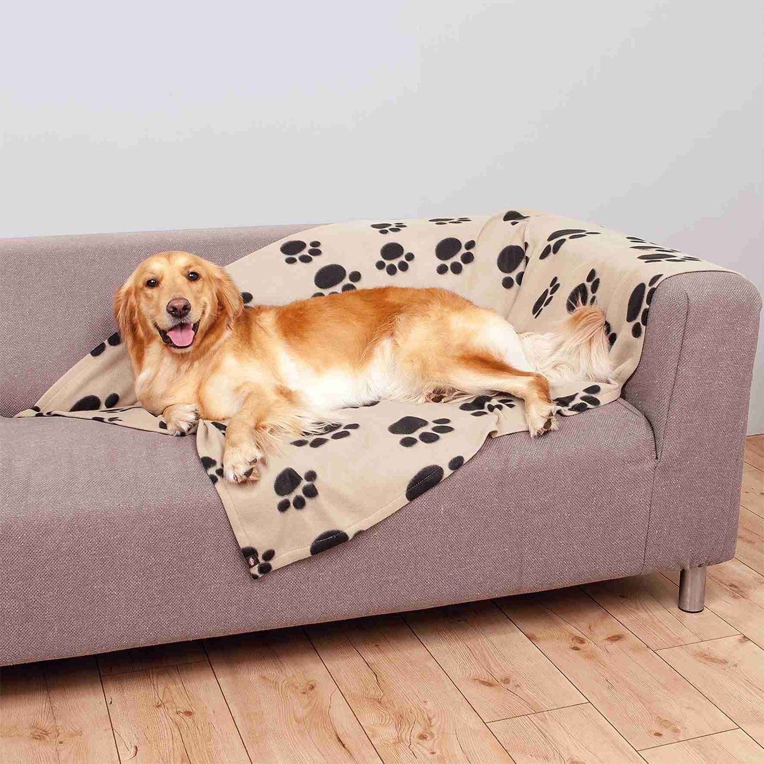 Manta para Perros Barney