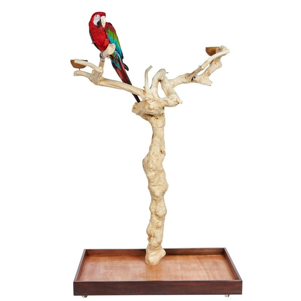 Java Tree BL New