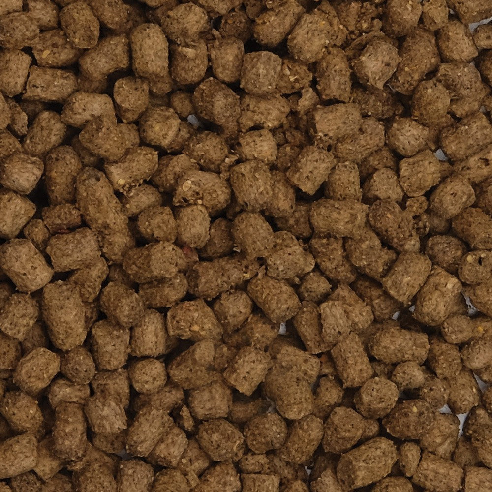Gránulos Fluval Bug Bites Cíclidos