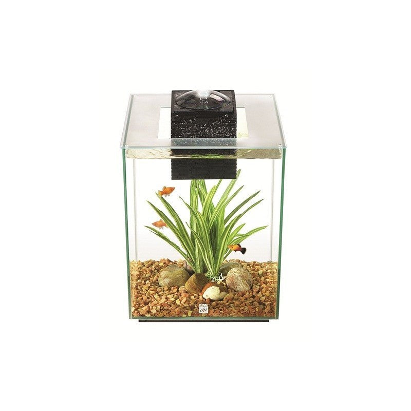 Fluval Chi II Nano Acuario