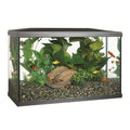 KIT ACUARIO MARINA 38 LITROS