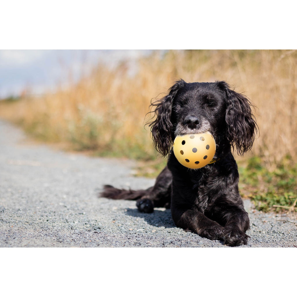 Pelota con agujeros - Pack de 4 unidades