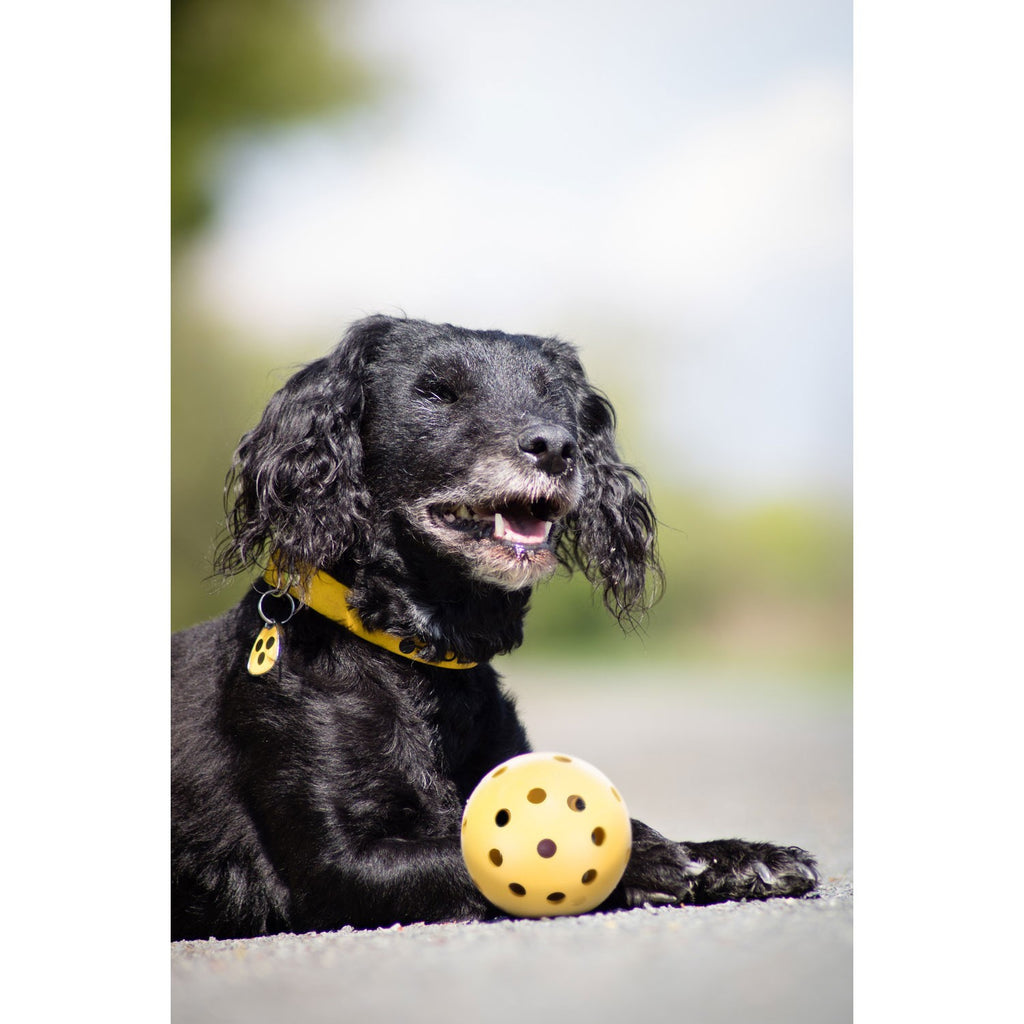 Pelota con agujeros - Pack de 4 unidades