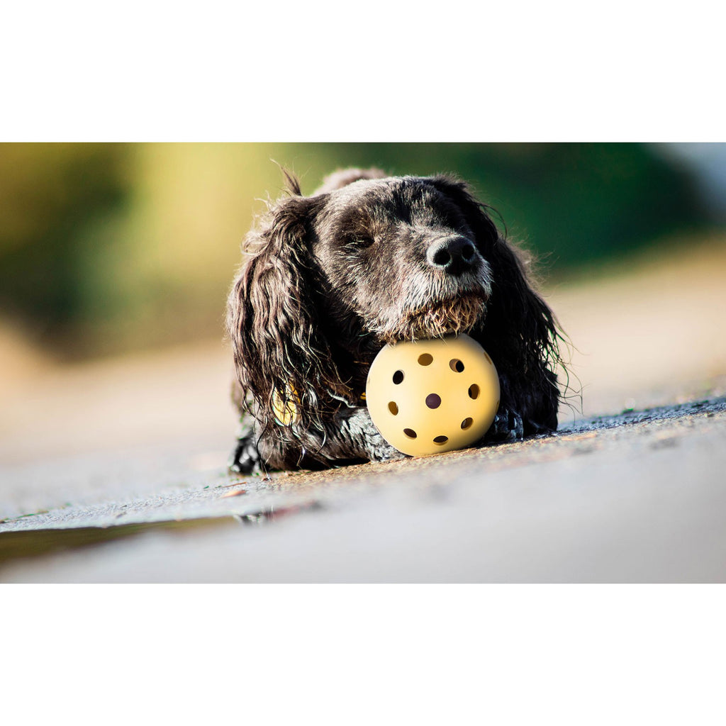 Pelota con agujeros - Pack de 4 unidades