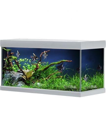 Acuario FUSION