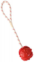 Pelota con Cuerda
